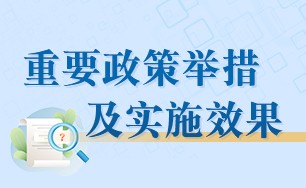 重要政策舉措及實(shí)施效果